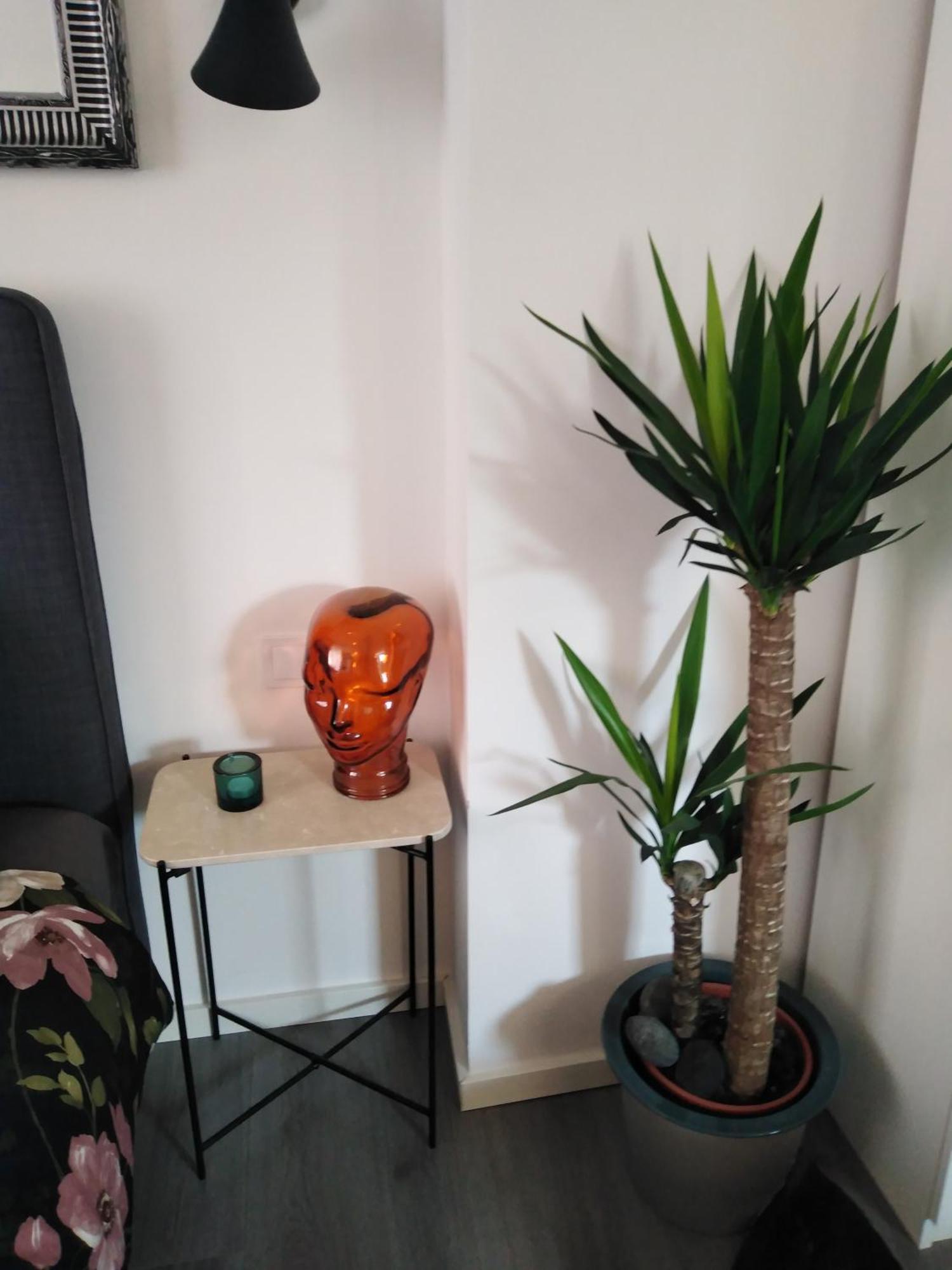 Center City Apartment Zagreb Eksteriør bilde